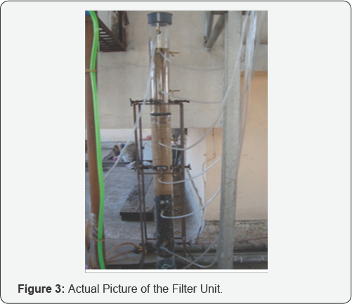 Click here to view Large Figure 3