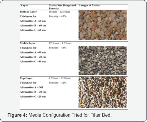 Click here to view Large Figure 4