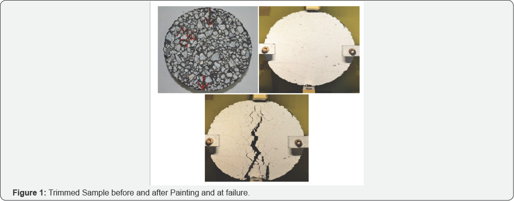 Click here to view Large Figure 1