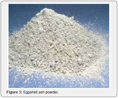 Click here to view Large Images 3