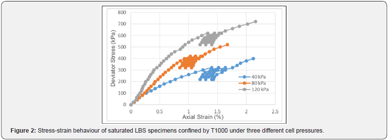 Click here to view Large Figure 2