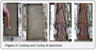 Click here to view Large Figure 2