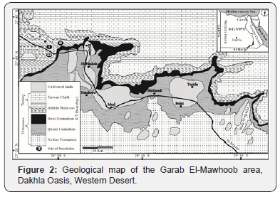 Click here to view Large Figure 2