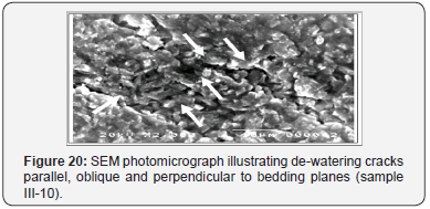 Click here to view Large Figure 20