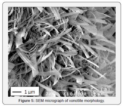 Click here to view Large Figure 5