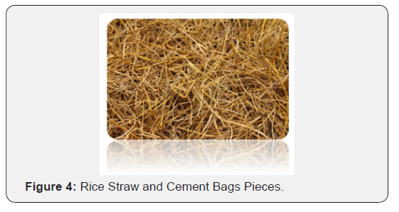 Click here to view Large Figure 4