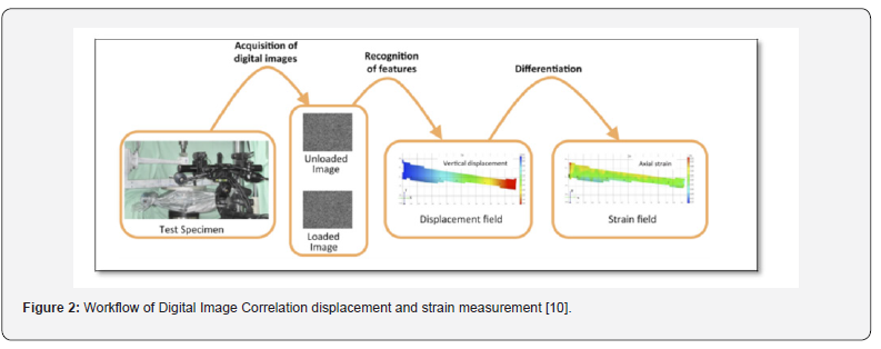 Click here to view Large Figure 2