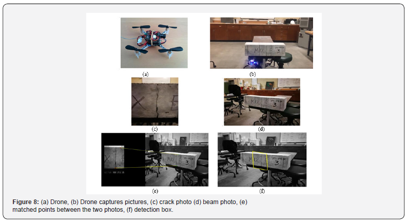 Click here to view Large Figure 8