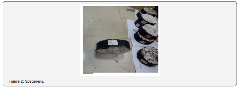 Click here to view Large Figure 2