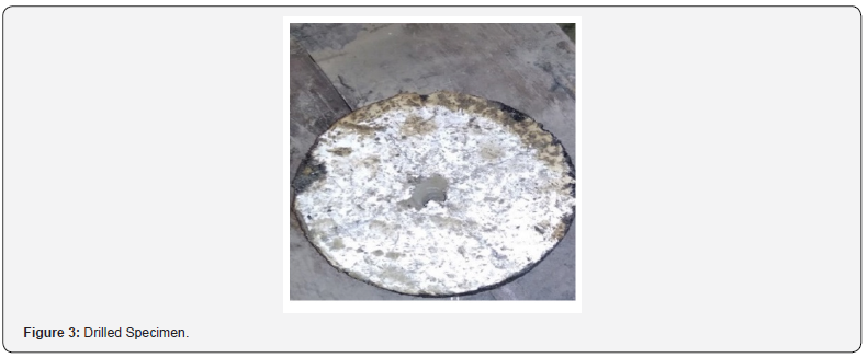 Click here to view Large Figure 3