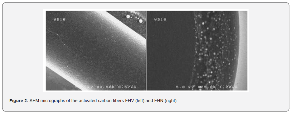Click here to view Large Figure 2