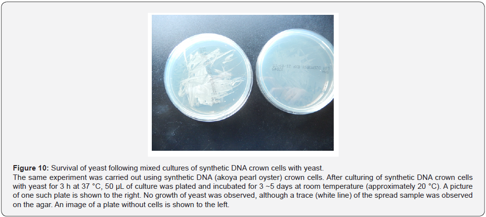 Click here to view Large Figure 10