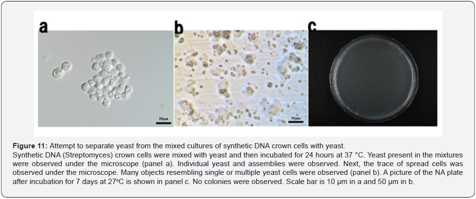Click here to view Large Figure 11