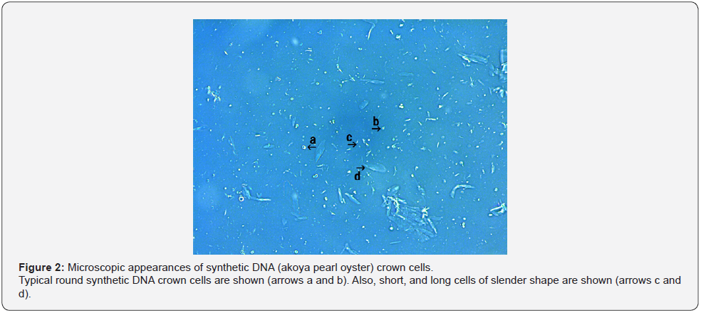 Click here to view Large Figure 2