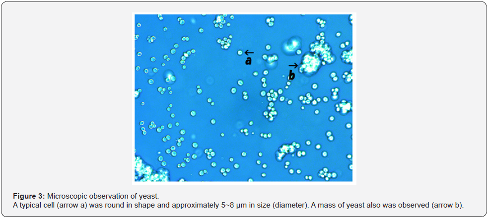 Click here to view Large Figure 3