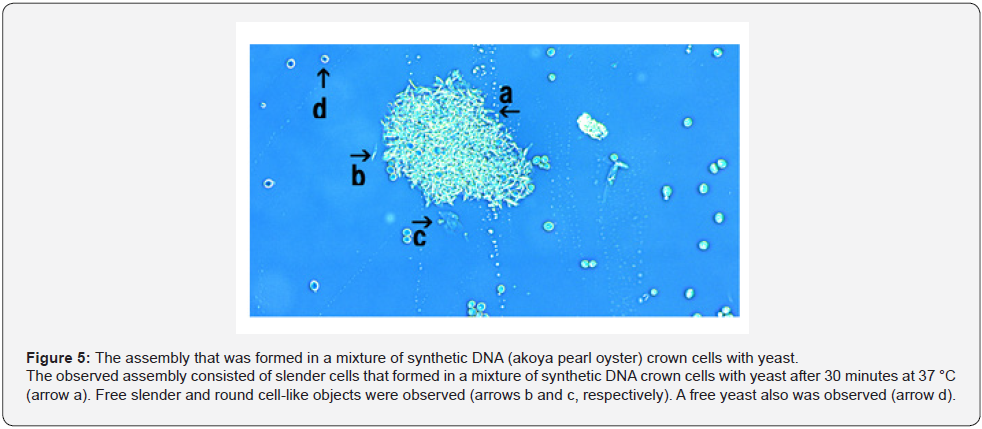 Click here to view Large Figure 5