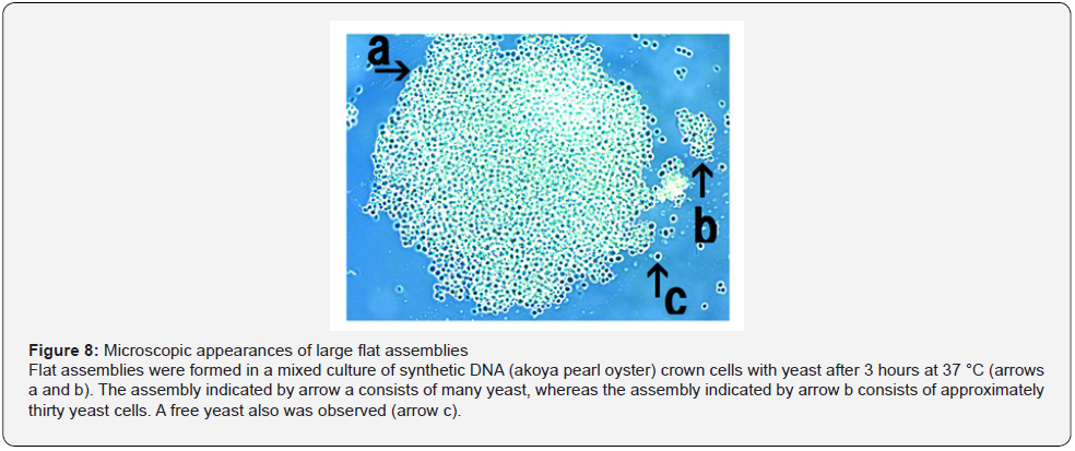 Click here to view Large Figure 8