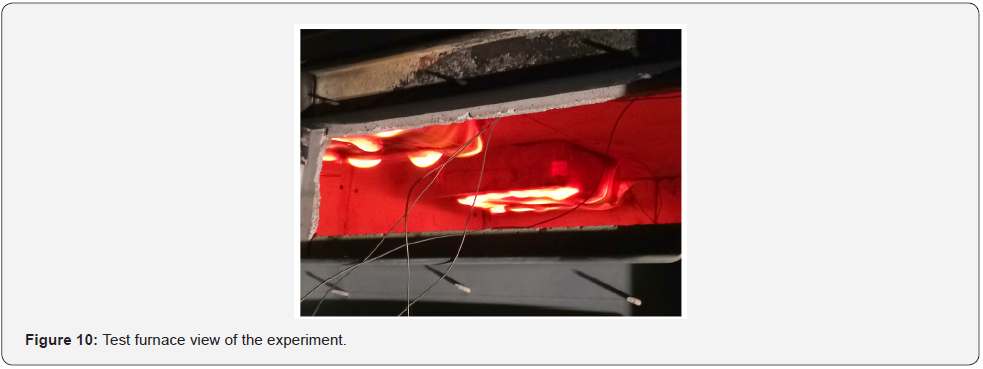 Click here to view Large Figure 10