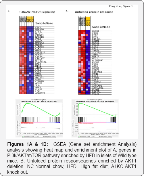Click here to view Large Table 1