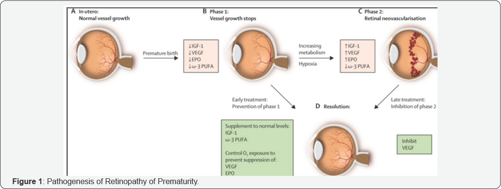 Click here to view Large Figure 1