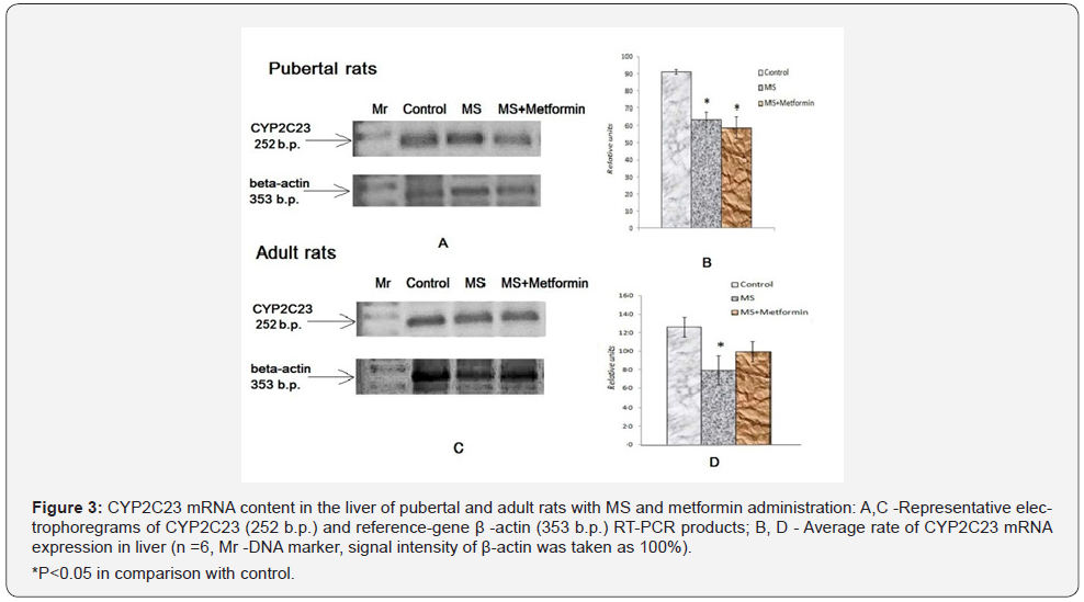 Click here to view Large Figure 3