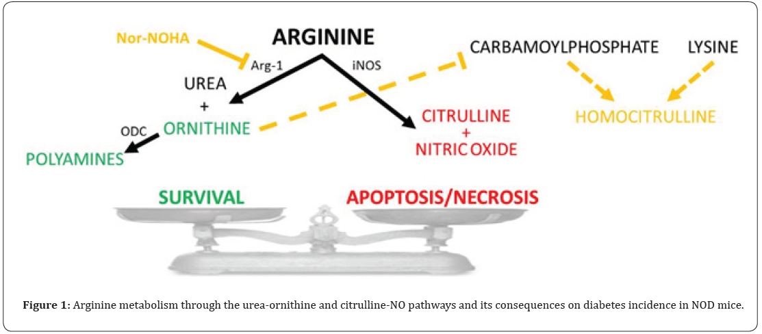 Click here to view Large Figure 1