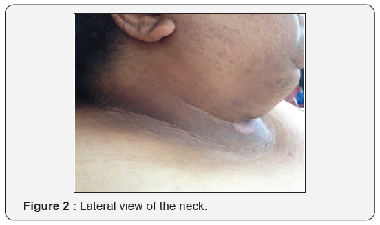 Click here to view Large Figure 2