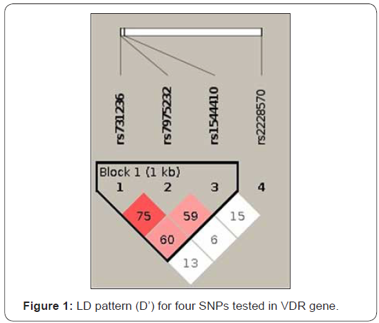 Click here to view Large Figure 1