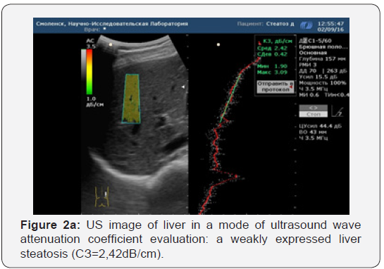 Click here to view Large Figure 2a