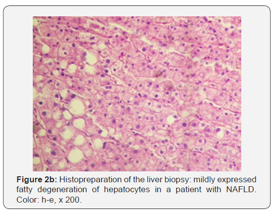 Click here to view Large Figure 2b