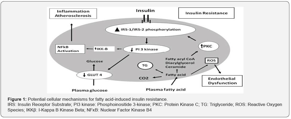 Click here to view Large Figure 1
