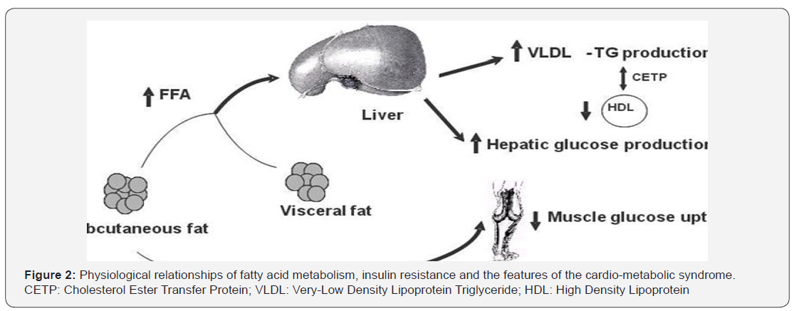 Click here to view Large Figure 2
