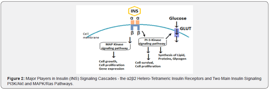 Click here to view Large Figure 2 Material Science