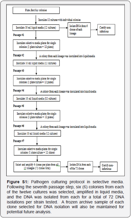 Click here to view Large Image 1
