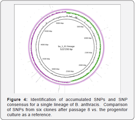 Click here to view Large Image 5