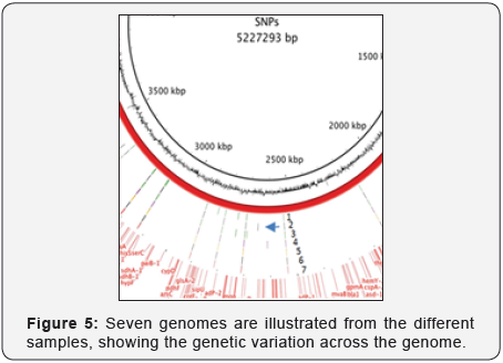 Click here to view Large Image 6
