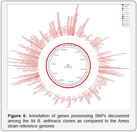 Click here to view Large Image 7