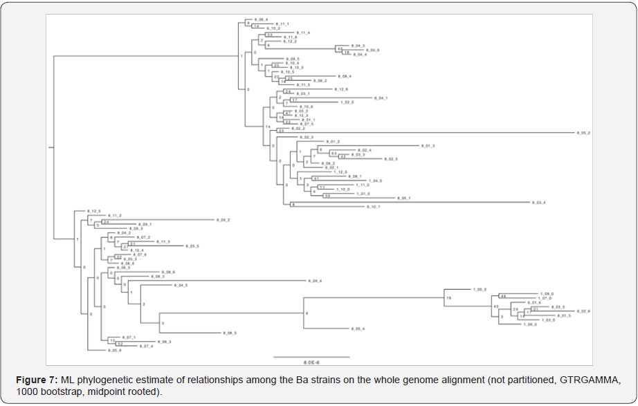 Click here to view Large Image 8