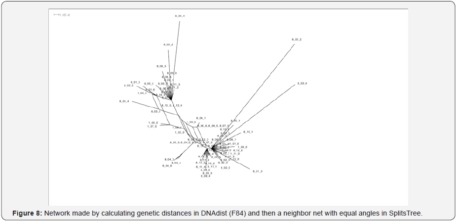 Click here to view Large Image 9