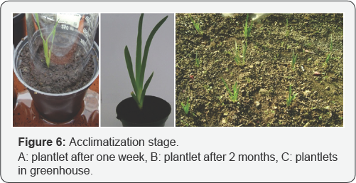 Click here to view Large Figure 6