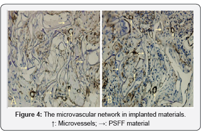 Click here to view Large Figure 4