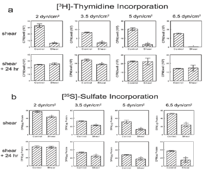 Click here to view Large Figure 2