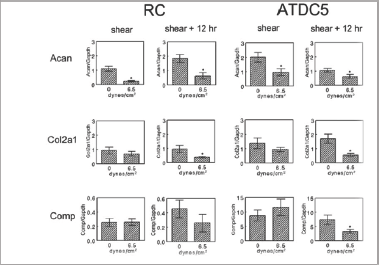 Click here to view Large Figure 3