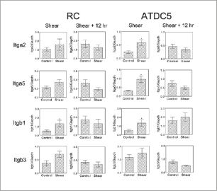 Click here to view Large Figure 4