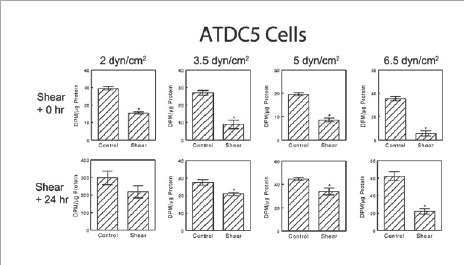 Click here to view Large Figure S2