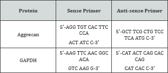 Click here to view Large Table 2