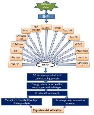 Click here to view Large Figure 1