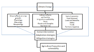 Click here to view Large Figure 1