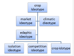 Click here to view Large Figure 2