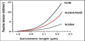 Click here to view Large Figure 1